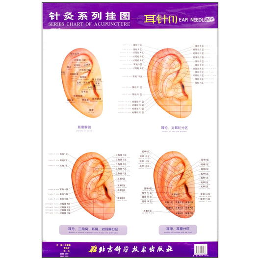Series of Acupuncture Charts - Ear Needle - 35